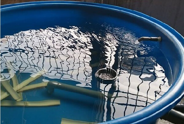 Tank nhựa hình tròn nuôi dưỡng cá Koi